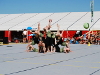 DSC_1473 DSC_1473